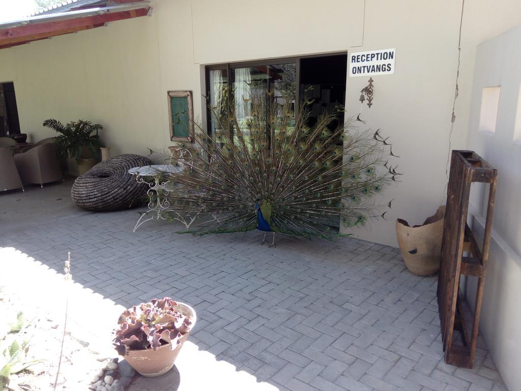 Xain Quaz Camp Hotel Gobabis Exterior photo